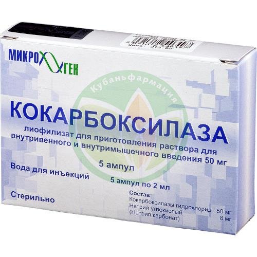 Кокарбоксилаза лиофилизат для приготовления раствора для внутривенного и внутримышечного введения 50мг №5 в комплекте с растворителем: вода для инъекций (ампулы) 2 мл-5 шт. купить в Курганинском районе Кокарбоксилаза лиофилизат для приготовления раствора для внутривенного и внутримышечного введения 50мг №5 в комплекте с растворителем: вода для инъекций (ампулы) 2 мл-5 шт. купить в Курганинском районе