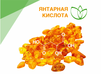 Янтарная кислота