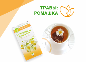 Травы: ромашка