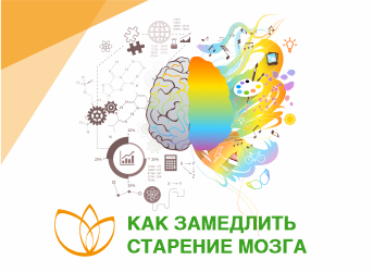 Как замедлить старение мозга
