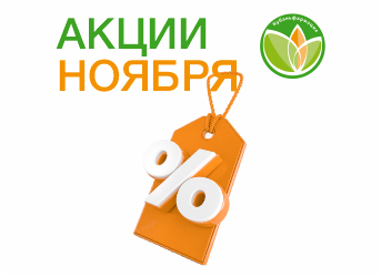 Акции Ноября