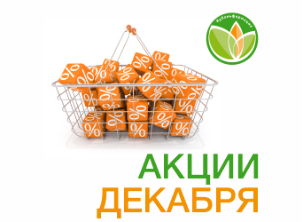 Акции Декабря