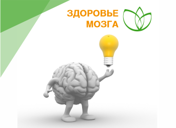 Здоровье мозга