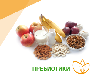 Пребиотики