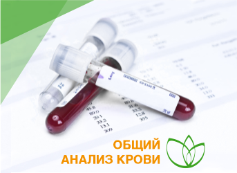 Общий анализ крови