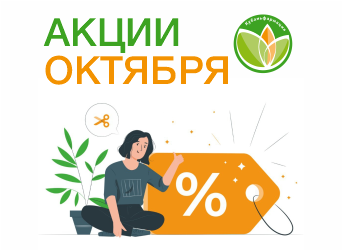 Акции октября
