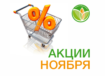 Акции ноября