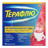 Терафлю порошок для приготовления раствора для приема внутрь 11,5г №10 лесные ягоды