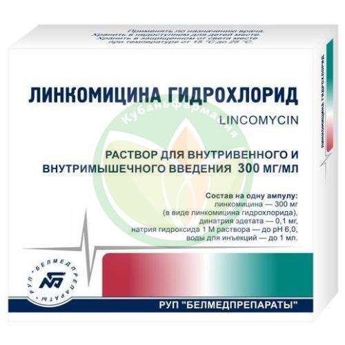 Линкомицина гидрохлорид раствор для внутривенного и внутримышечного введения 300мг/мл 1мл №10 купить в Кущевском районе