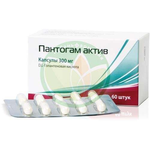 Пантогам актив капсулы 300мг №60 купить в Кавказском районе