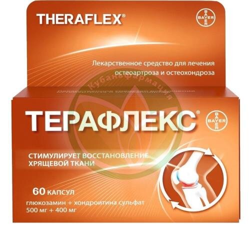 Терафлекс капсулы 500мг + 400мг №60 купить в Сочи